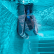 Dolphin M 700 Robotic Pool Cleaner